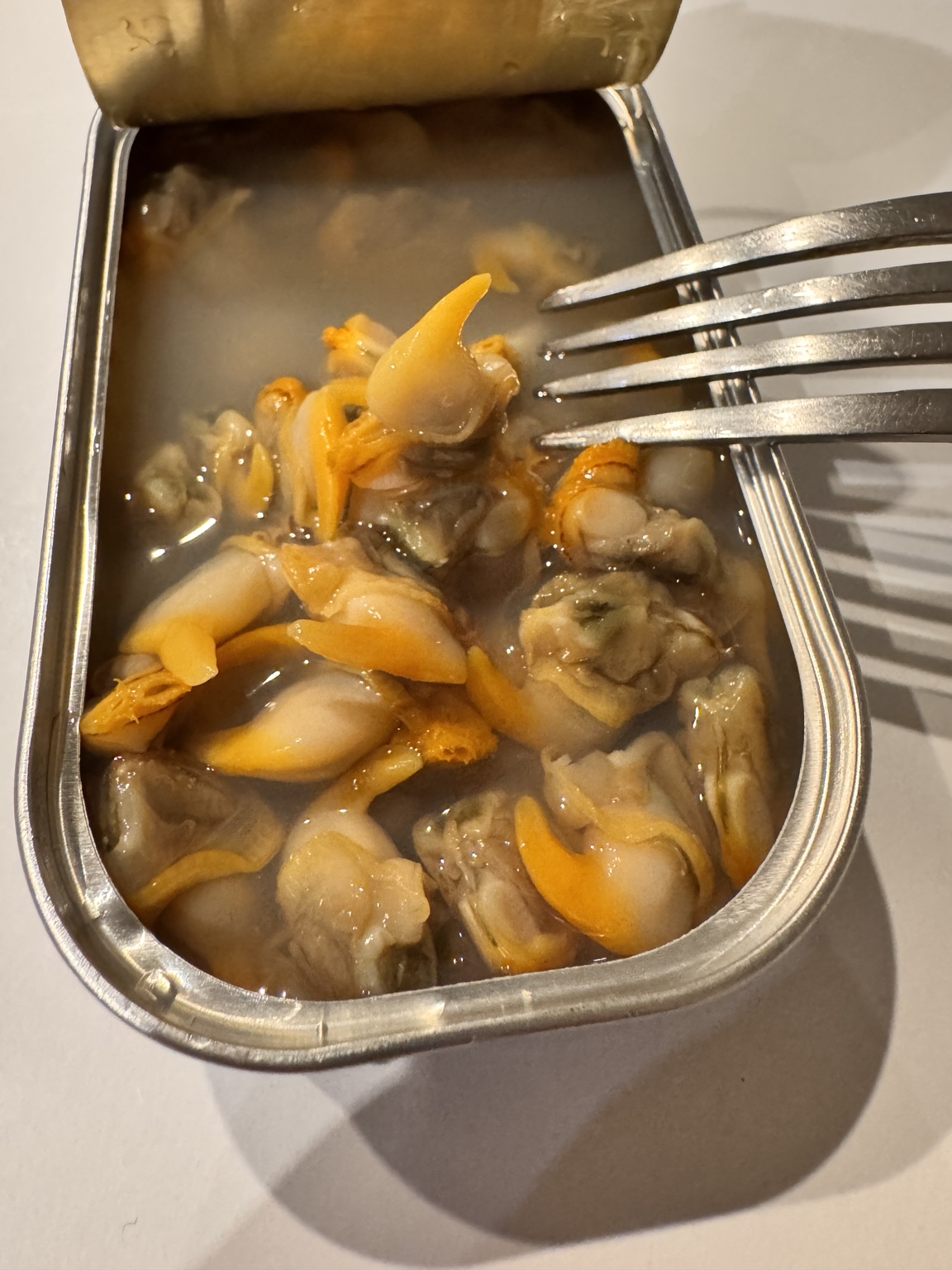 午餐吃的貝類料理